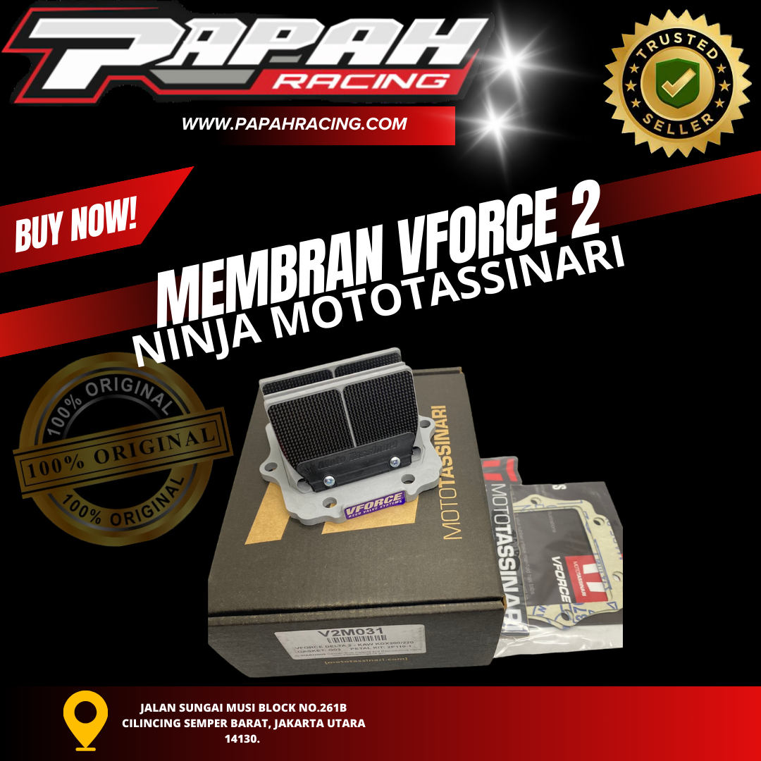 VFORCE 2 NINJA MOTOTASSINARI 